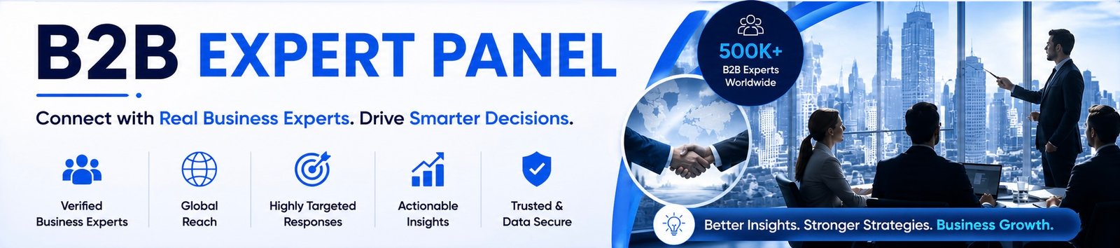 B2B Expert Panel